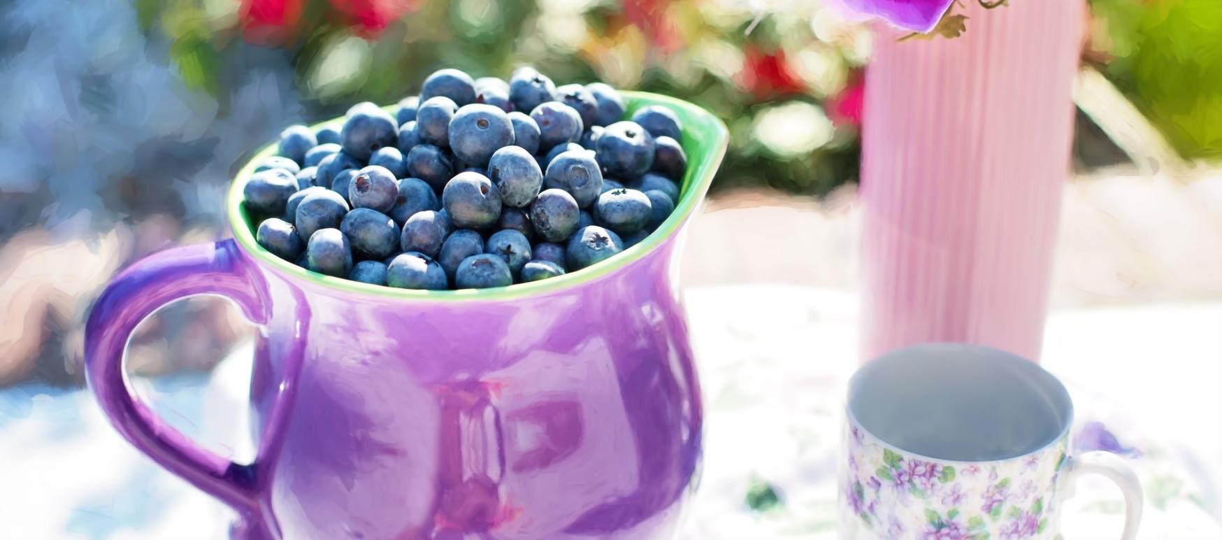 Fragment diagramu przedstawiającego procesy metaboliczne